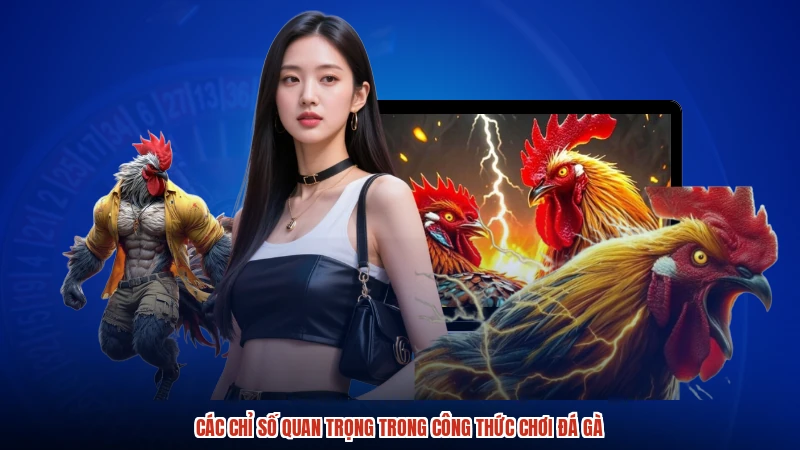Các chỉ số quan trọng trong công thức chơi đá gà