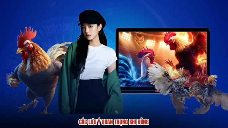 Các lưu ý quan trọng khi dùng