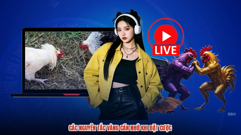 Các nguyên tắc vàng cần nhớ khi đặt cược