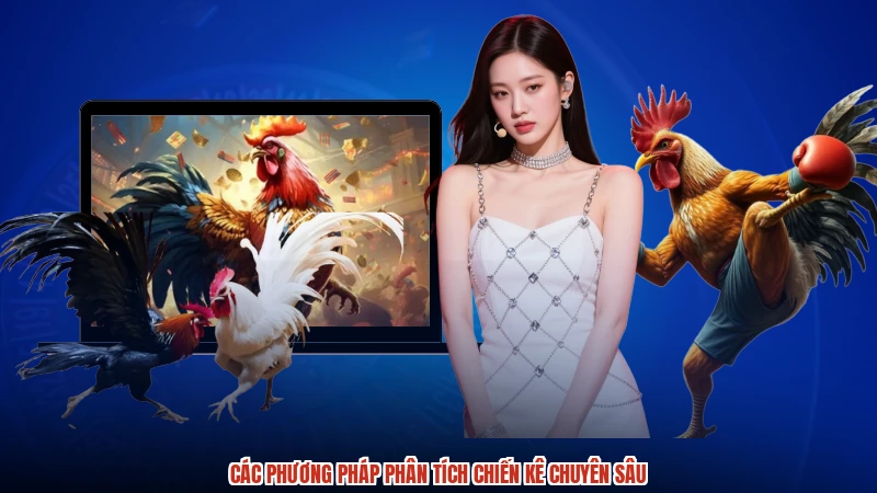 Các phương pháp phân tích chiến kê chuyên sâu