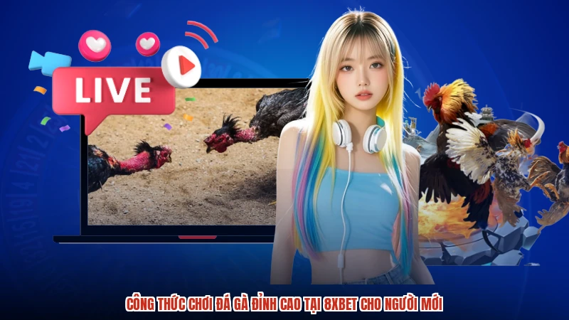 Công Thức Chơi Đá Gà Đỉnh Cao Tại 8XBET Cho Người Mới