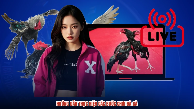 Hướng dẫn thực hiện các bước chơi đá gà