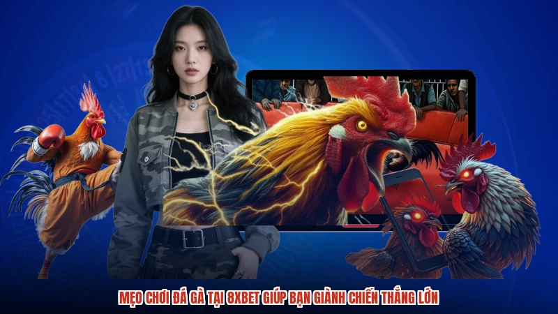 Mẹo Chơi Đá Gà Tại 8XBET Giúp Bạn Giành Chiến Thắng Lớn