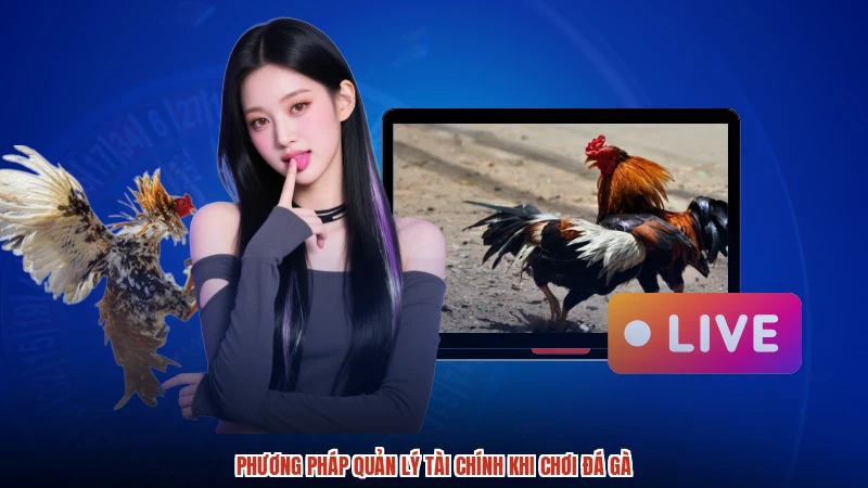 Phương pháp quản lý tài chính khi chơi đá gà