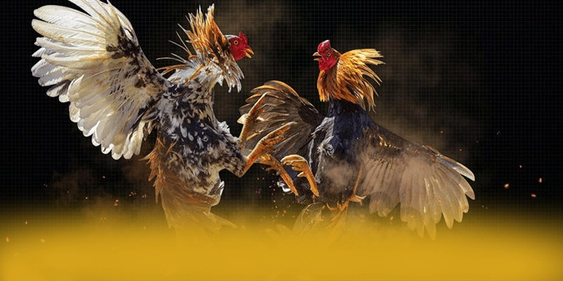 Hệ thống hỗ trợ người chơi tại BET168