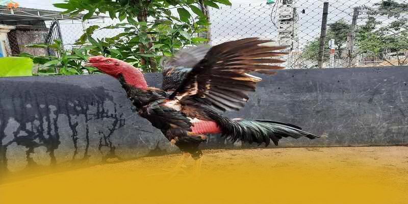 8XBET - Cổng giải trí sở hữu kho game phong phú 2026