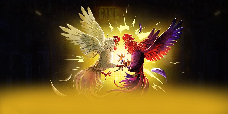 8XBET - Nhà cái được game thủ yêu thích tại Việt Nam